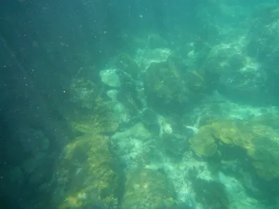 5 rzeczy, których nie warto zabierać do Tajlandii Ang Thong National Marine Park pod wodą :)