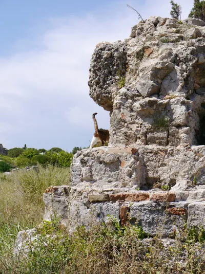 Nymphaeum Side