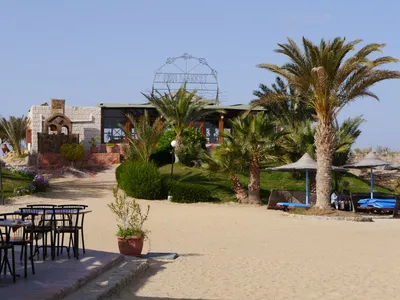 Blue Reef Resort Marsa Alam Egipt moja opinia