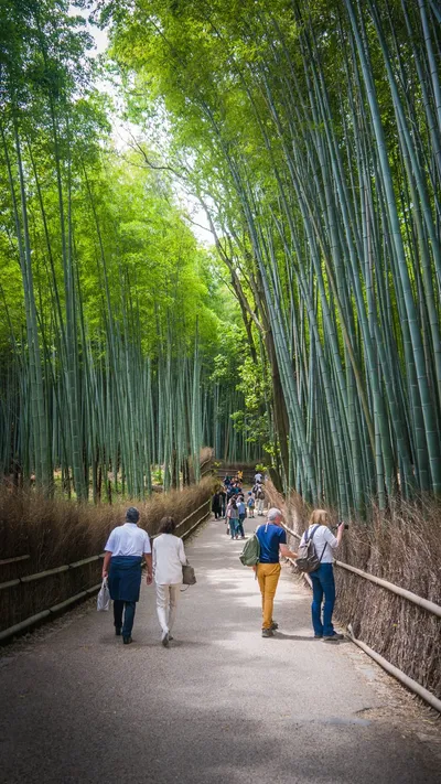 Bambusowy las w Kyoto (Japonia by Podróże Szczęściary)