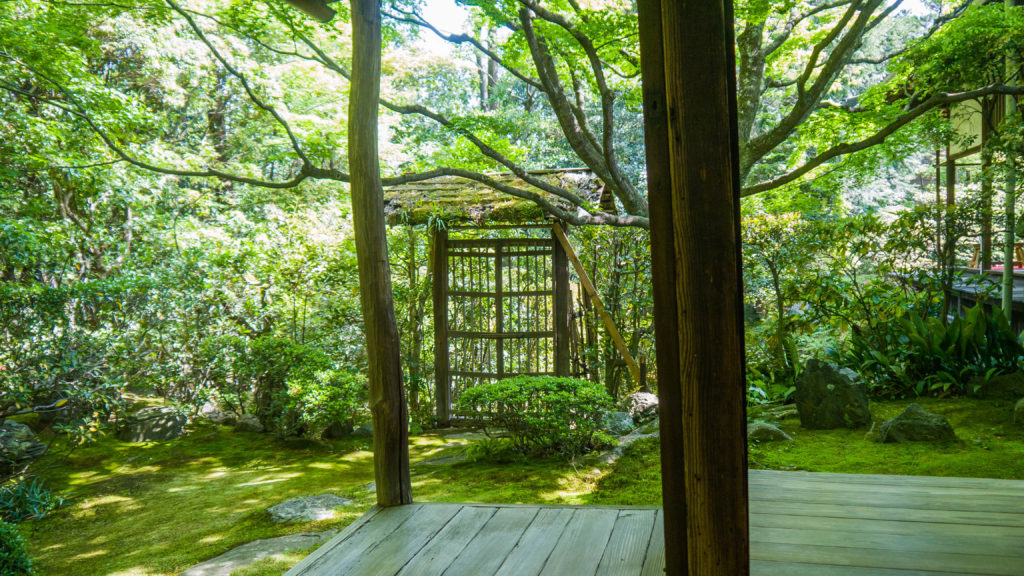 Pawilon herbaciany w Kyoto (Japonai by Podróże Szczęściary)